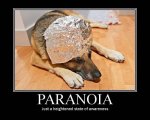 paranoia-02.jpg