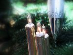 BILD0374.JPG