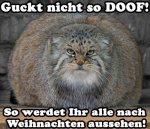 IMG-20141224-WA0001.jpg