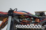 DSC_3141.JPG