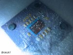 P1060570.jpg