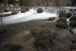 _DSC7688.jpg