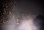 DSC_0184.jpg