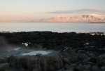 20141224_Island_091.jpg