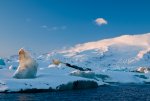20141226_Island_126.jpg