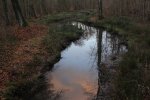 IMG_1082.JPG