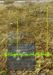 pcgh_BF4_1.png