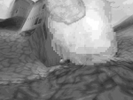 carpet_013.png