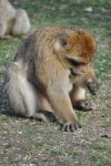 DSC_2783 Forum.jpg