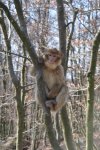 DSC_2777 Forum.JPG