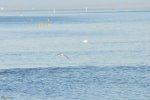 DSC_2149 Forum.JPG