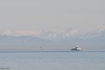 DSC_2161 Forum.JPG