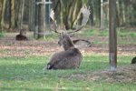 DSC_2860 Forum.JPG