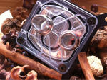 image-2095831253.png