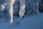 IMG_0997.jpg