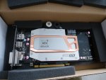 P1010981.JPG