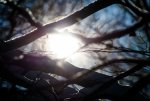 DSC_0678.jpg