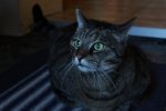 IMG_1386.JPG