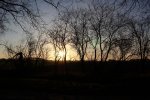 IMG_1651.JPG