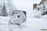 DSC_1581.jpg
