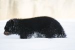 DSC_5158.jpg