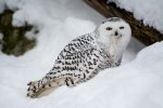 DSC_5192.jpg