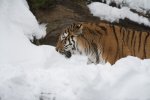 DSC_5214.jpg
