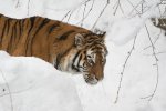 DSC_5218.jpg