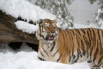 DSC_5220.jpg