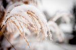 IMG_9697.jpg