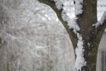 Winter 03 small.jpg