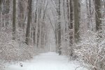 Winter 08 small.jpg