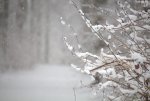 Winter 10 small.jpg