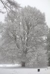 Winter 15 small.jpg