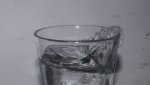 DSC00851.JPG