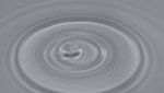 DSC00896.JPG