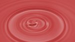 DSC00896_rot.JPG