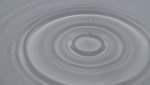 DSC00908.JPG