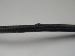 DSCN1515.jpg