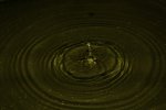IMG_2081.JPG