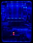 DSC01342.jpg