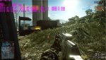 BF1.jpg