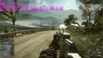 BF2.jpg