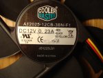 DSC08336.JPG