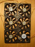 DSC08342.JPG