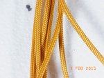RIMG0199.JPG