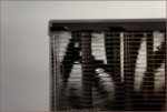 DSC00479.jpg