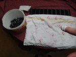 DSC05018.jpg