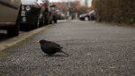 DSC01362.JPG