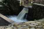 IMG_3153.JPG